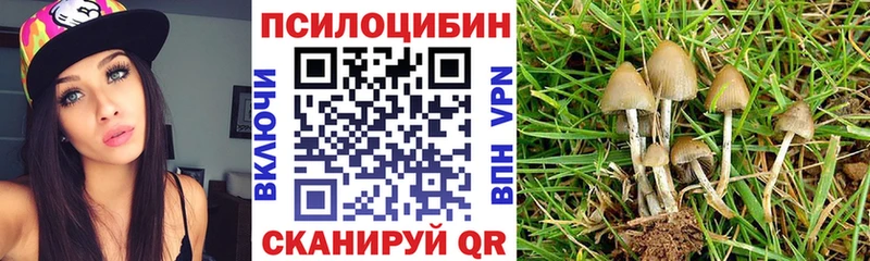 Галлюциногенные грибы Cubensis  Темников 