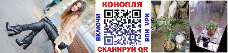 Бошки Шишки ГИДРОПОН  Темников 